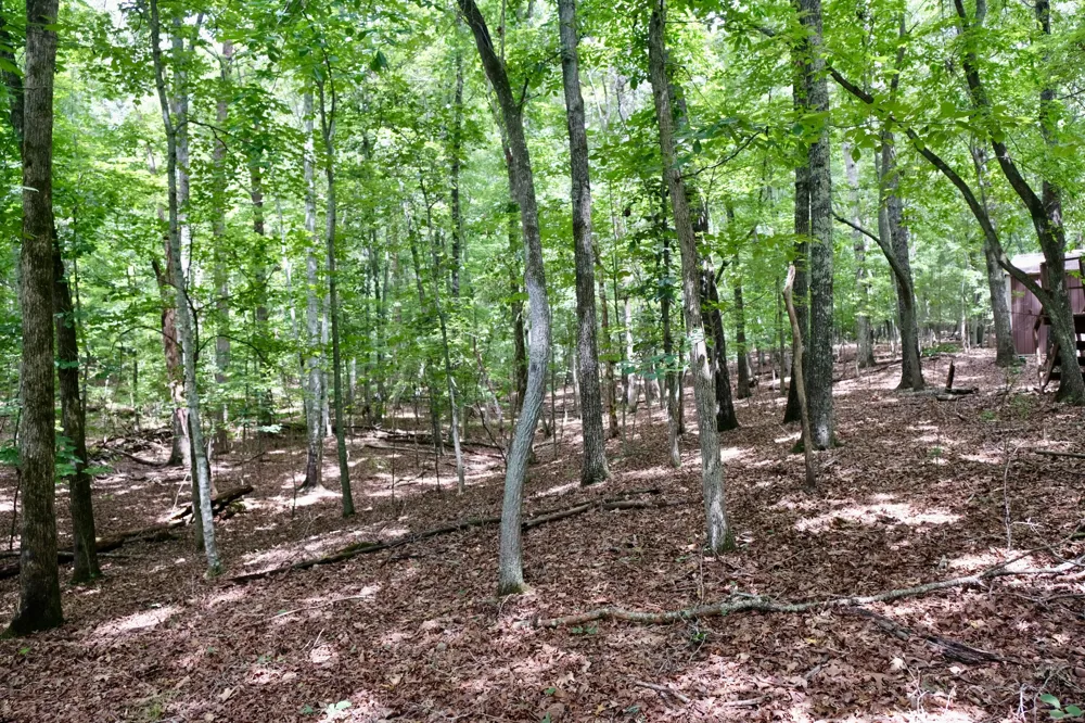 756 Ewing Cemetery Road Spring City, TN 37381