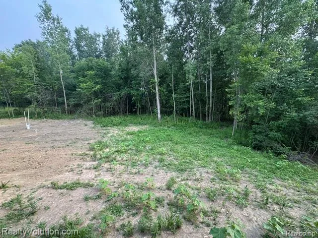 7260 Newark Road Imlay Township, MI 48444