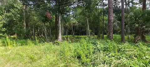 8401 AMELIA TRAIL