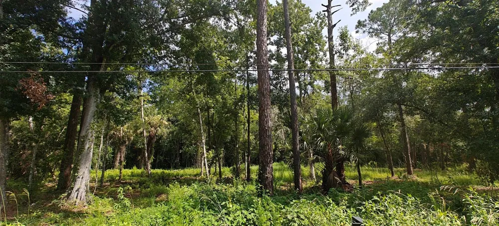 8401 AMELIA TRAIL Kissimmee, FL 34747