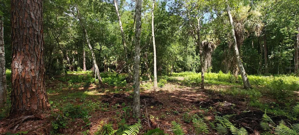 8401 AMELIA TRAIL Kissimmee, FL 34747