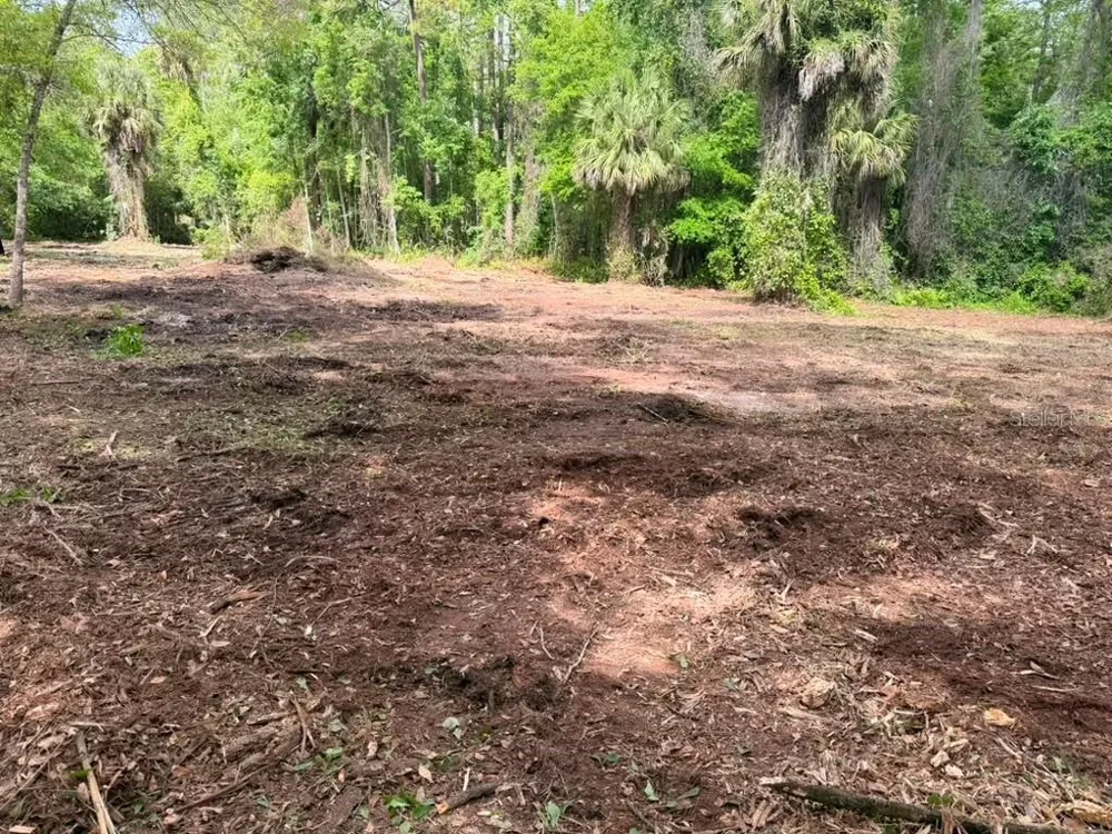 8401 AMELIA TRAIL Kissimmee, FL 34747