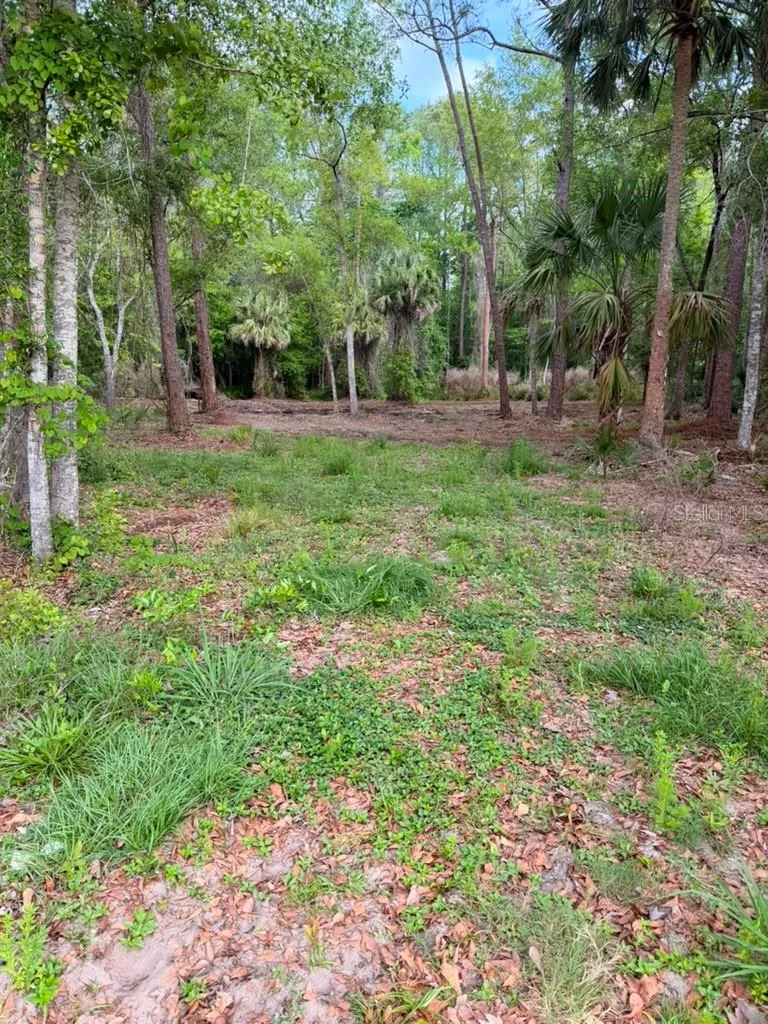 8401 AMELIA TRAIL Kissimmee, FL 34747