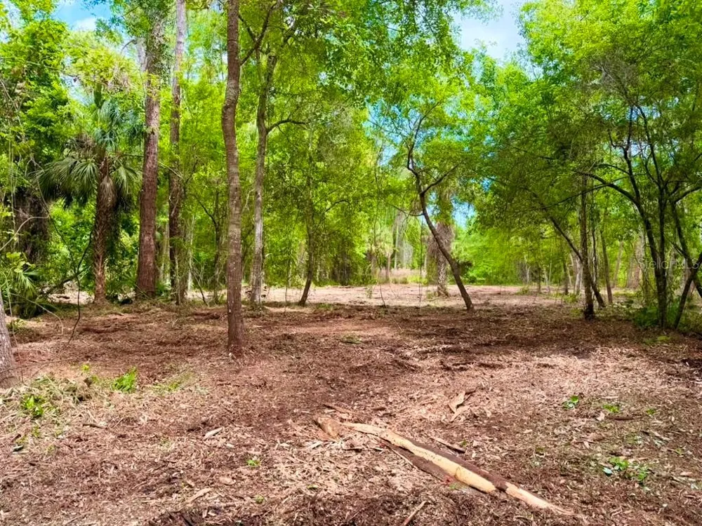 8401 AMELIA TRAIL Kissimmee, FL 34747