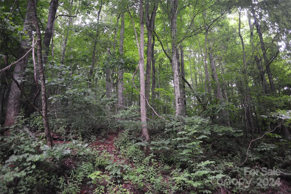 54 Great Aspen Way #701 Black Mountain, NC 28711