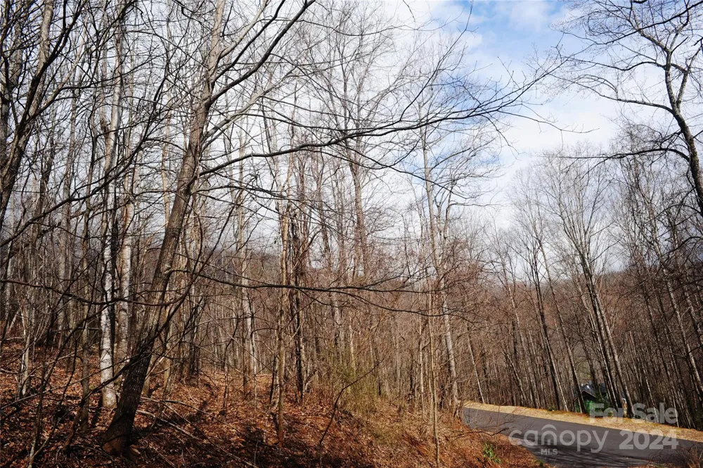 54 Great Aspen Way #701 Black Mountain, NC 28711