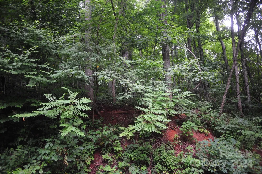 54 Great Aspen Way #701 Black Mountain, NC 28711