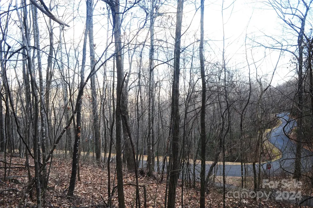 54 Great Aspen Way #701 Black Mountain, NC 28711
