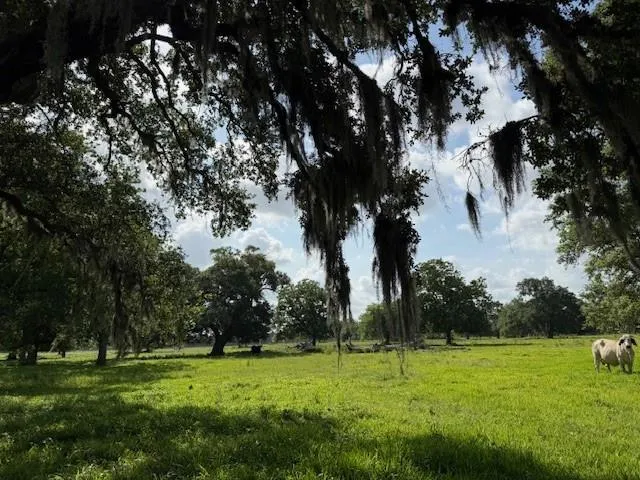 County Road 153 Sims Ave Road Cedar Lane, TX 77415