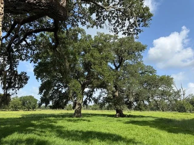 County Road 153 Sims Ave Road Cedar Lane, TX 77415