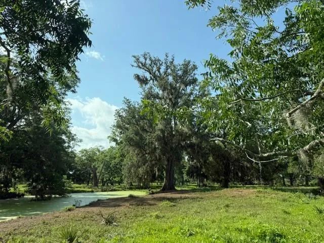 County Road 153 Sims Ave Road Cedar Lane, TX 77415