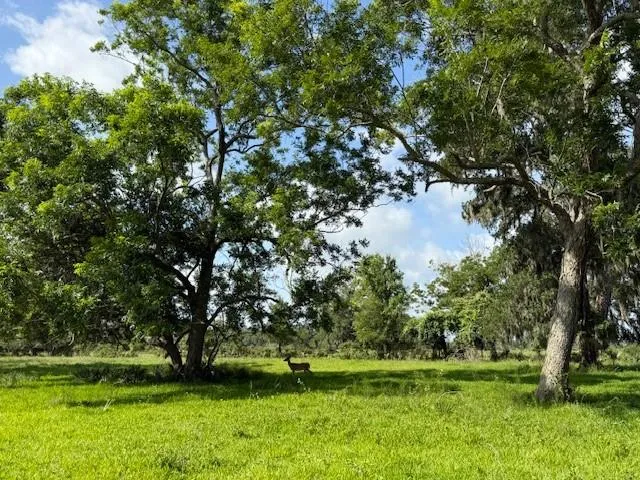 County Road 153 Sims Ave Road Cedar Lane, TX 77415