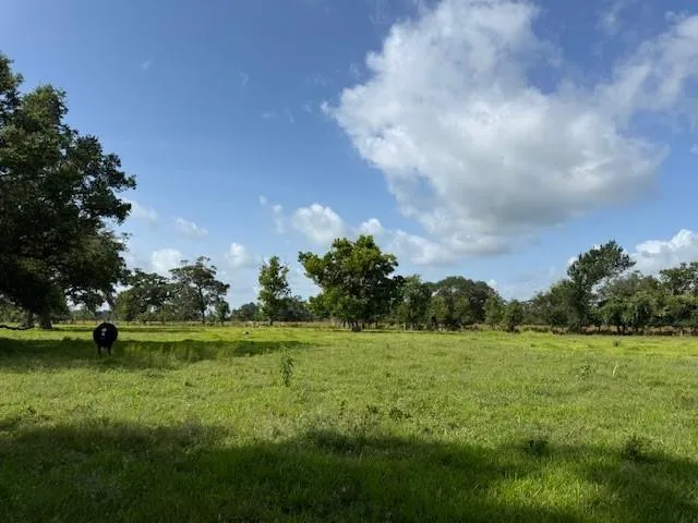 County Road 153 Sims Ave Road Cedar Lane, TX 77415