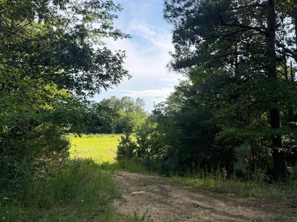45291 TAKE IT EASY RANCH ROAD Callaway, MD 20620