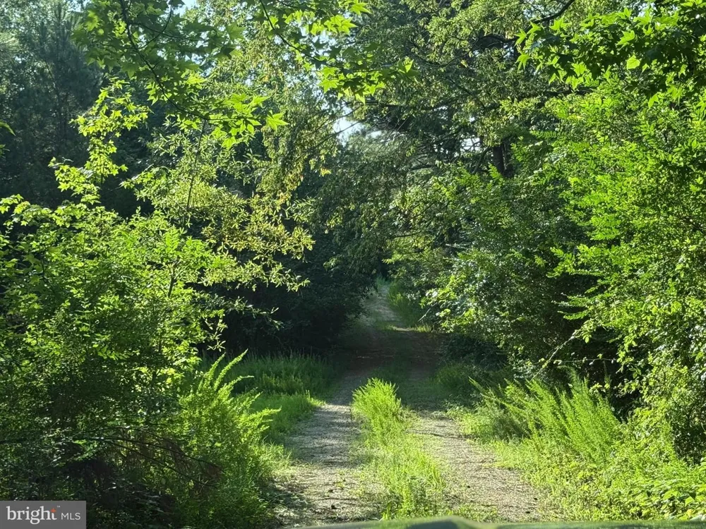 45291 TAKE IT EASY RANCH ROAD Callaway, MD 20620