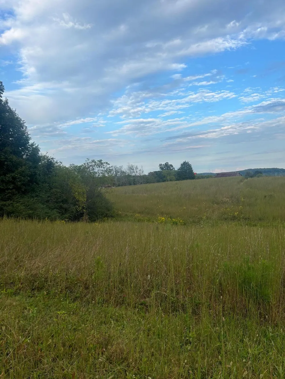 553 Highway 30 W Athens, TN 37303
