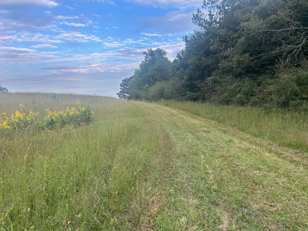 553 Highway 30 W Athens, TN 37303