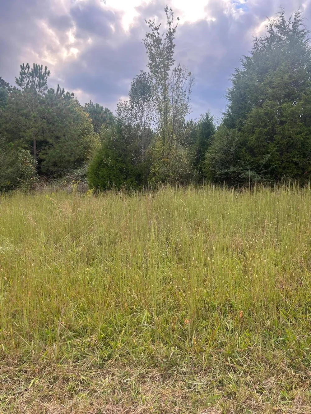 553 Highway 30 W Athens, TN 37303