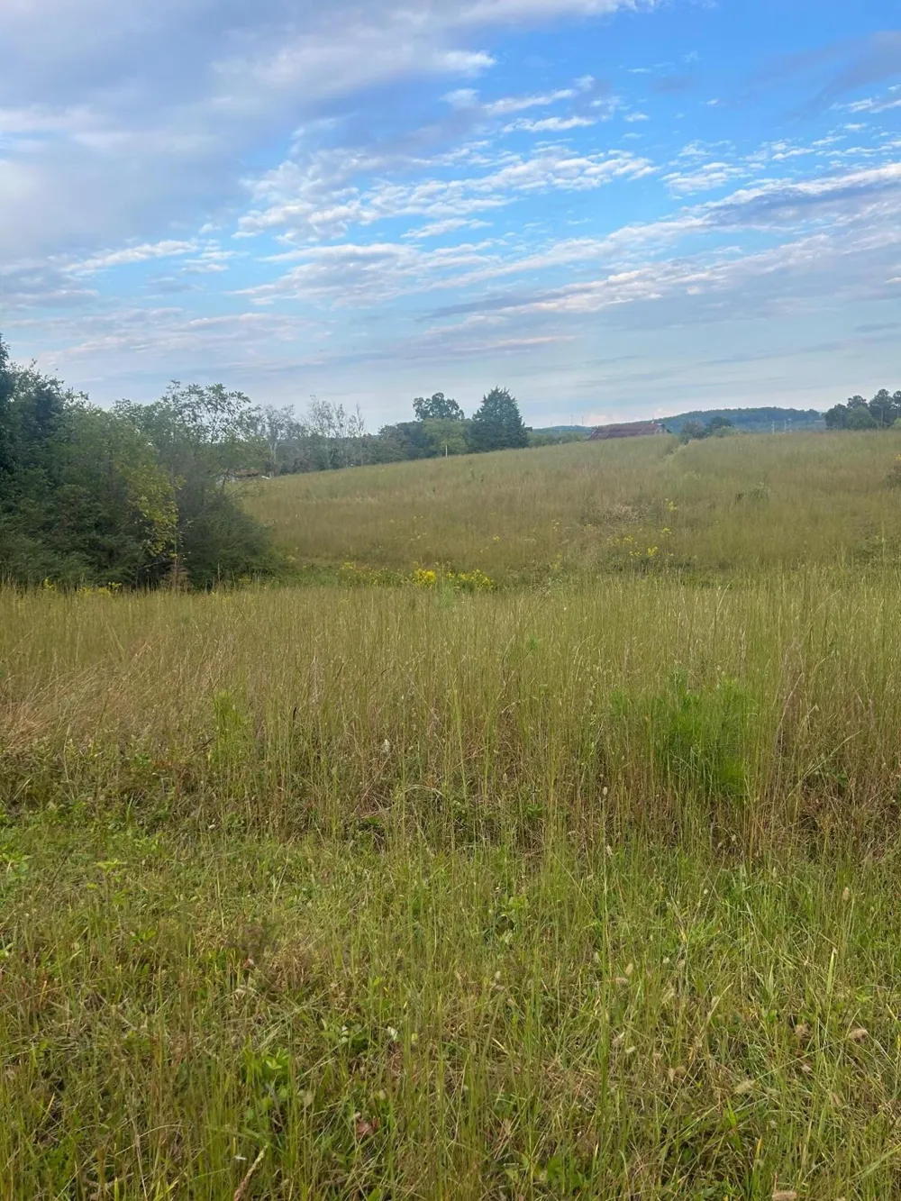 553 Highway 30 W Athens, TN 37303