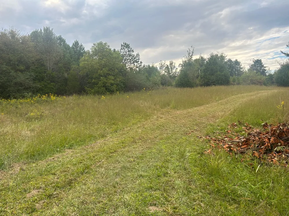 553 Highway 30 W Athens, TN 37303