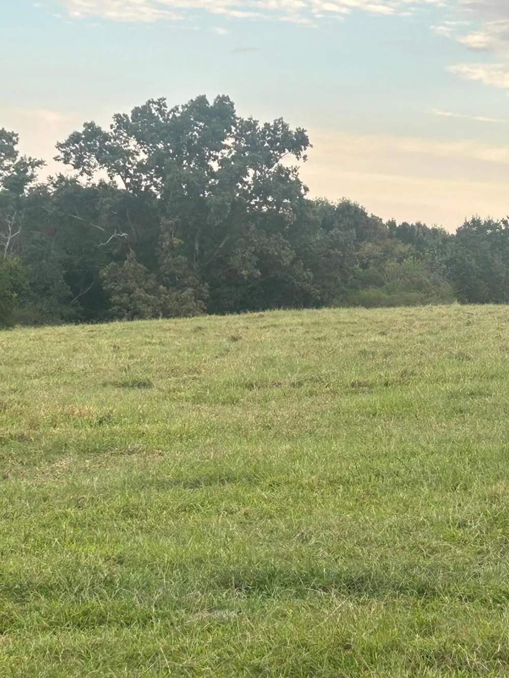 553 Highway 30 W Athens, TN 37303