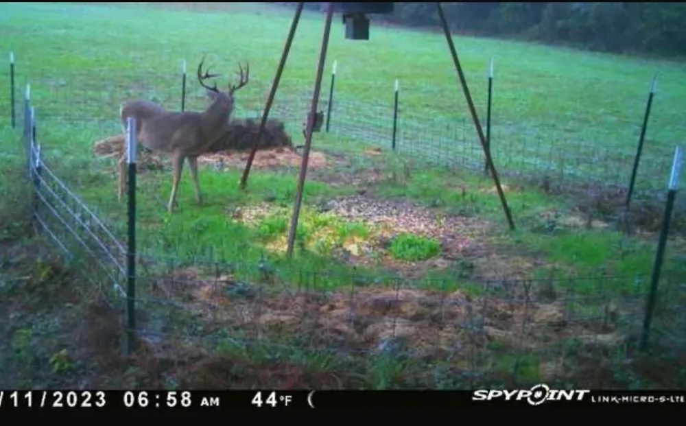 Magee Bend Loop Groveton, TX 75845
