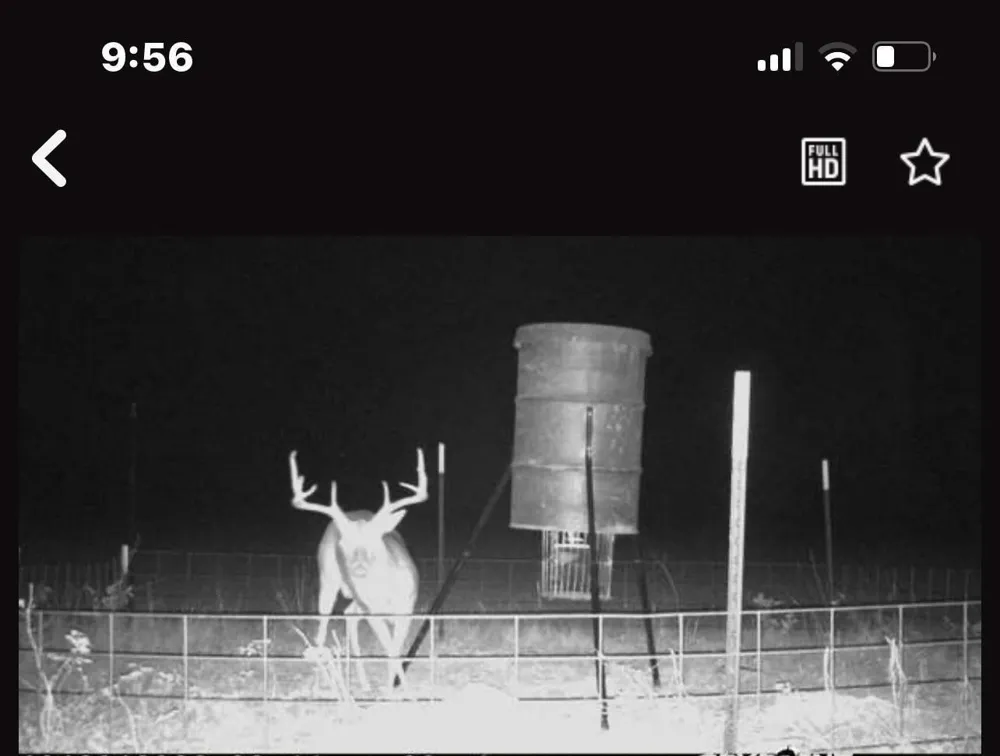 Magee Bend Loop Groveton, TX 75845
