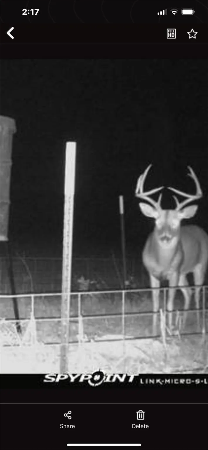 Magee Bend Loop Groveton, TX 75845
