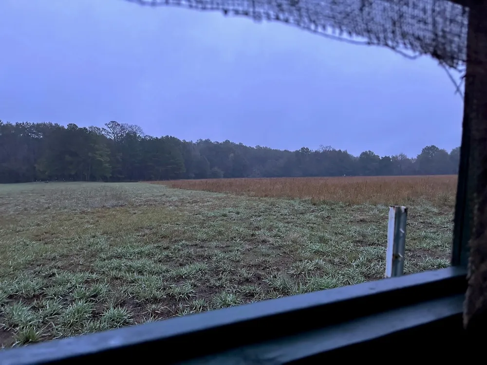Magee Bend Loop Groveton, TX 75845