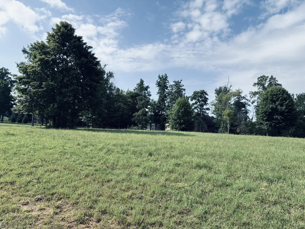 205 Raulston Falls Road Jasper, TN 37347