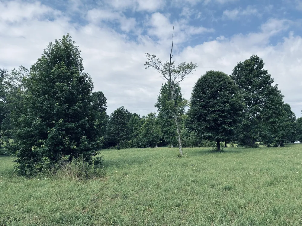 205 Raulston Falls Road Jasper, TN 37347