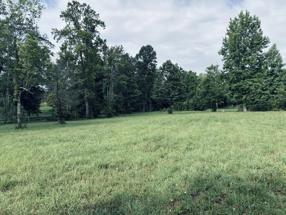 205 Raulston Falls Road Jasper, TN 37347