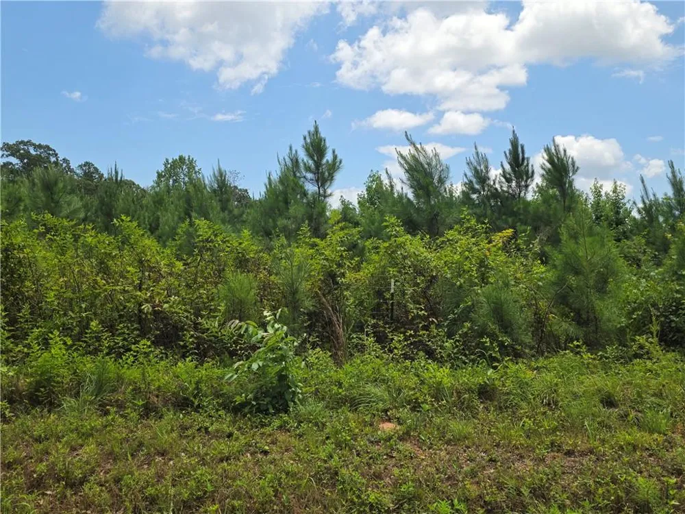 0 Wehunt Road Covington, GA 30016