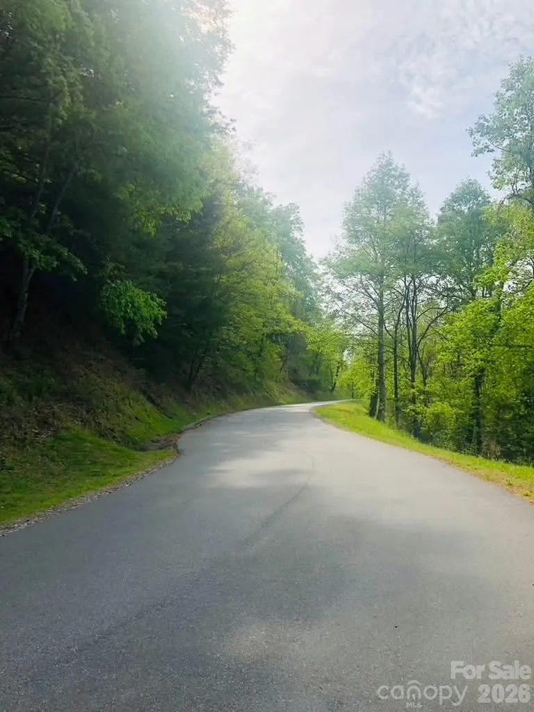 Lot 7 Gold Run Drive #78 Ferguson, NC 28624