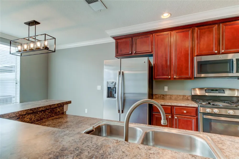 10003 BRADWELL PLACE Tampa, FL 33626