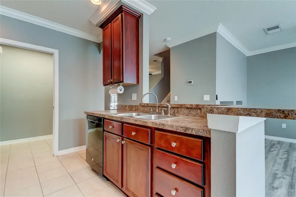 10003 BRADWELL PLACE Tampa, FL 33626