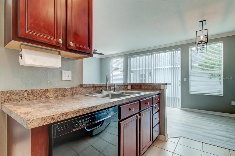 10003 BRADWELL PLACE Tampa, FL 33626