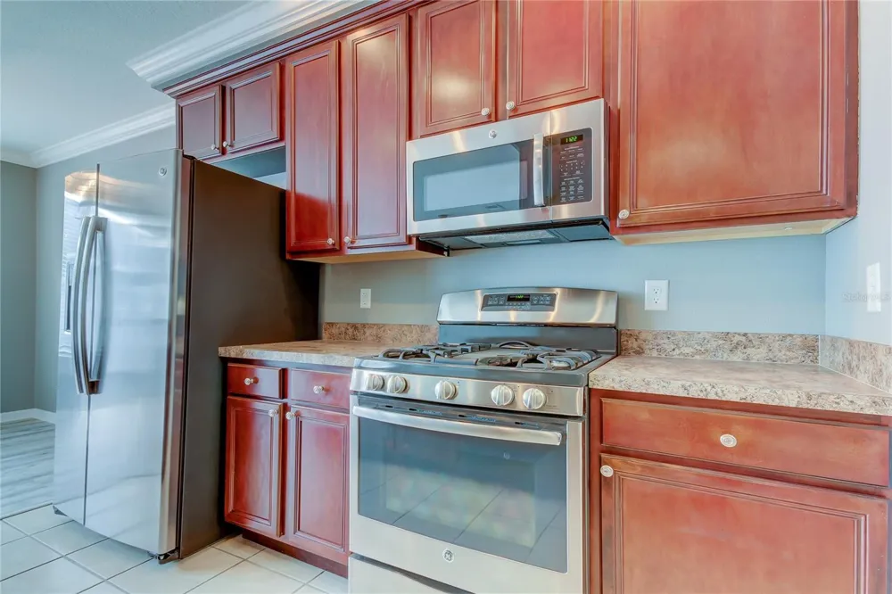 10003 BRADWELL PLACE Tampa, FL 33626