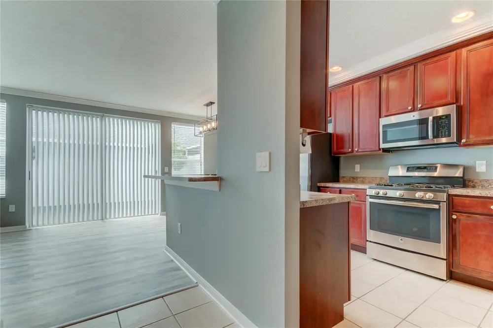 10003 BRADWELL PLACE Tampa, FL 33626
