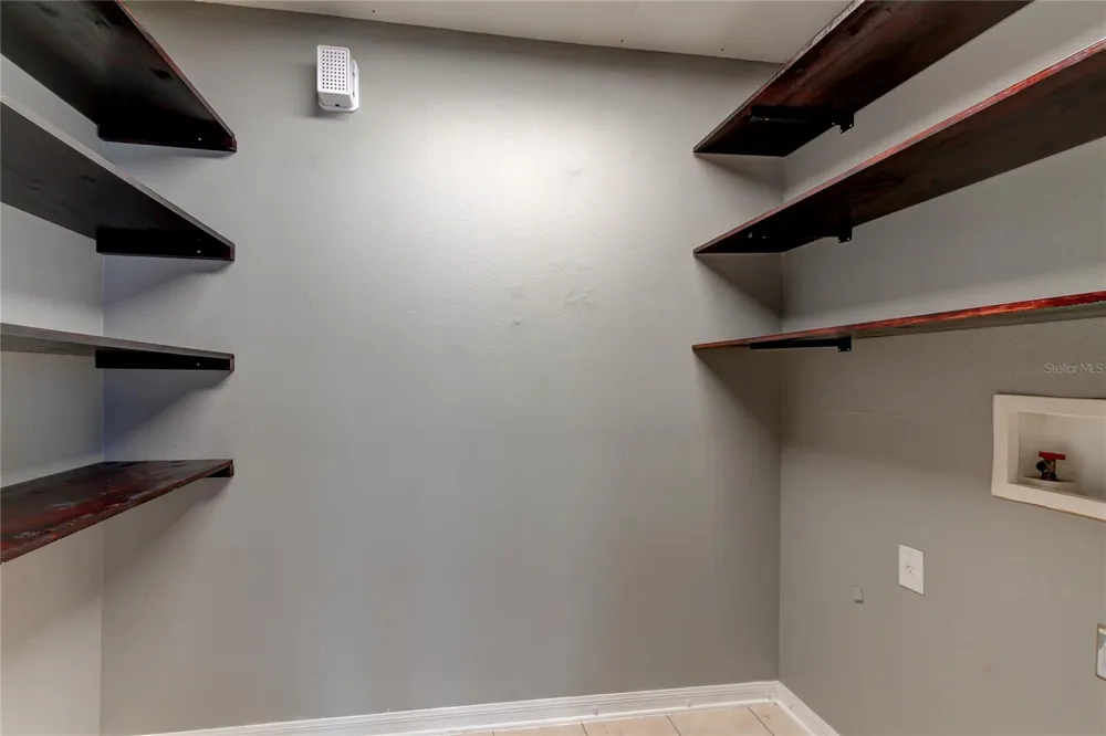 10003 BRADWELL PLACE Tampa, FL 33626