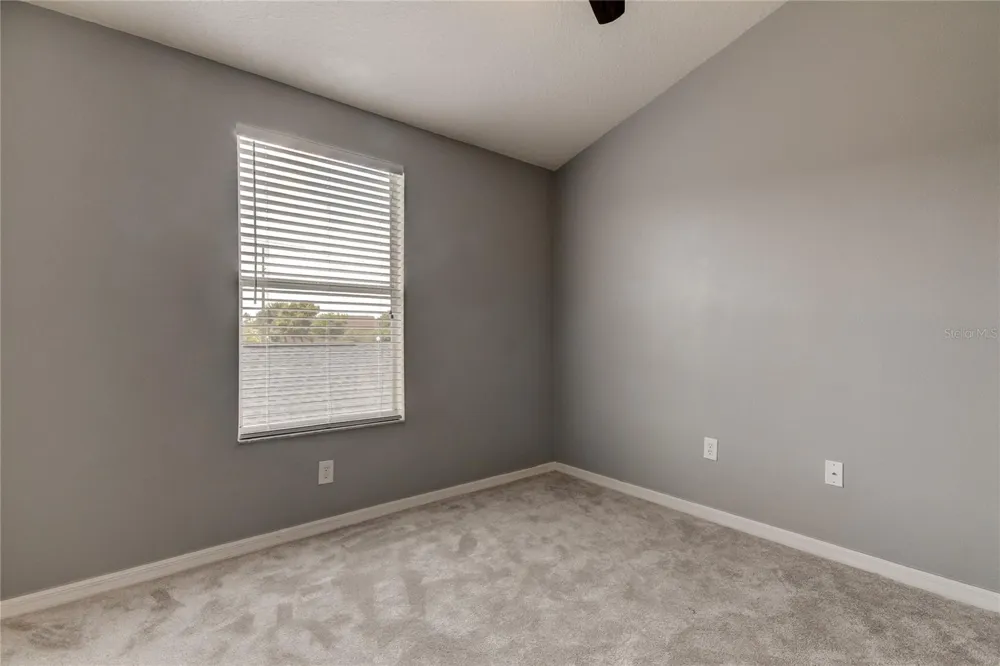 10003 BRADWELL PLACE Tampa, FL 33626