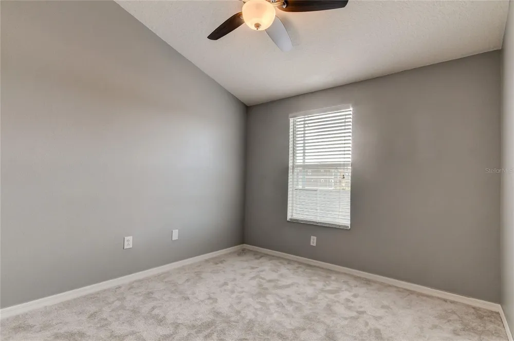 10003 BRADWELL PLACE Tampa, FL 33626