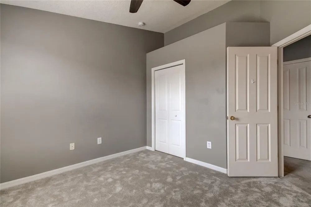 10003 BRADWELL PLACE Tampa, FL 33626
