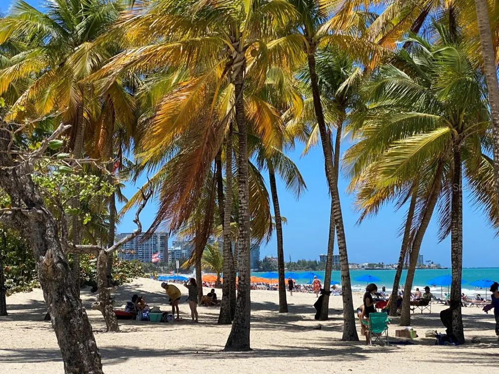 5757 AVE ISLA VERDE #PH-3 Carolina, PR 00979