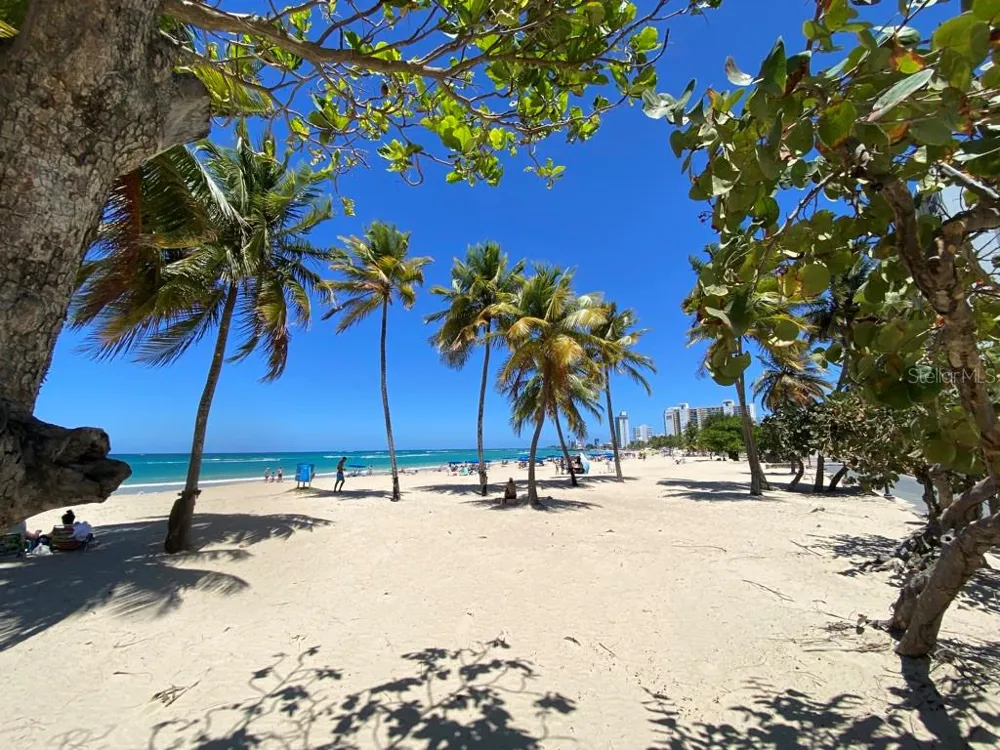 5757 AVE ISLA VERDE #PH-3 Carolina, PR 00979