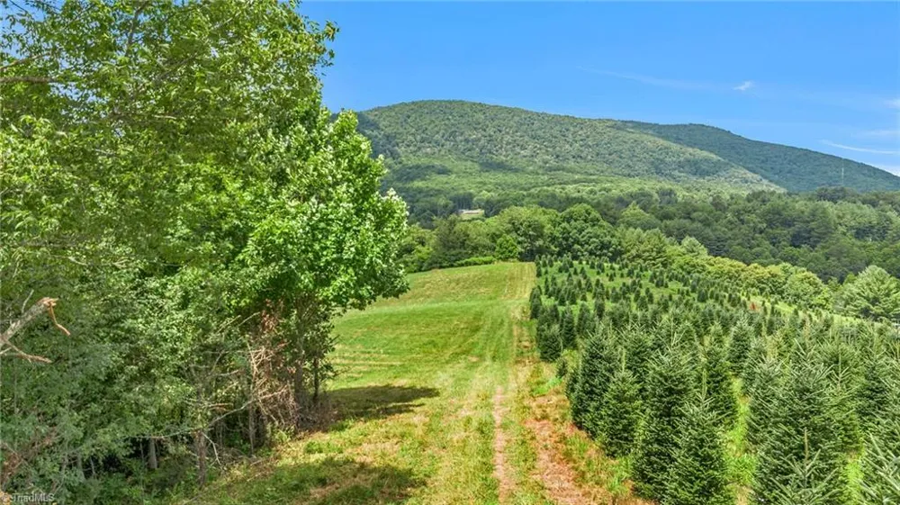 TBD 6th Avenue West Jefferson, NC 28694