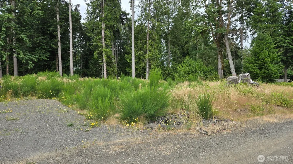 26 xx Oregon (Lot C of Short Plat) Avenue E Port Orchard, WA 98366