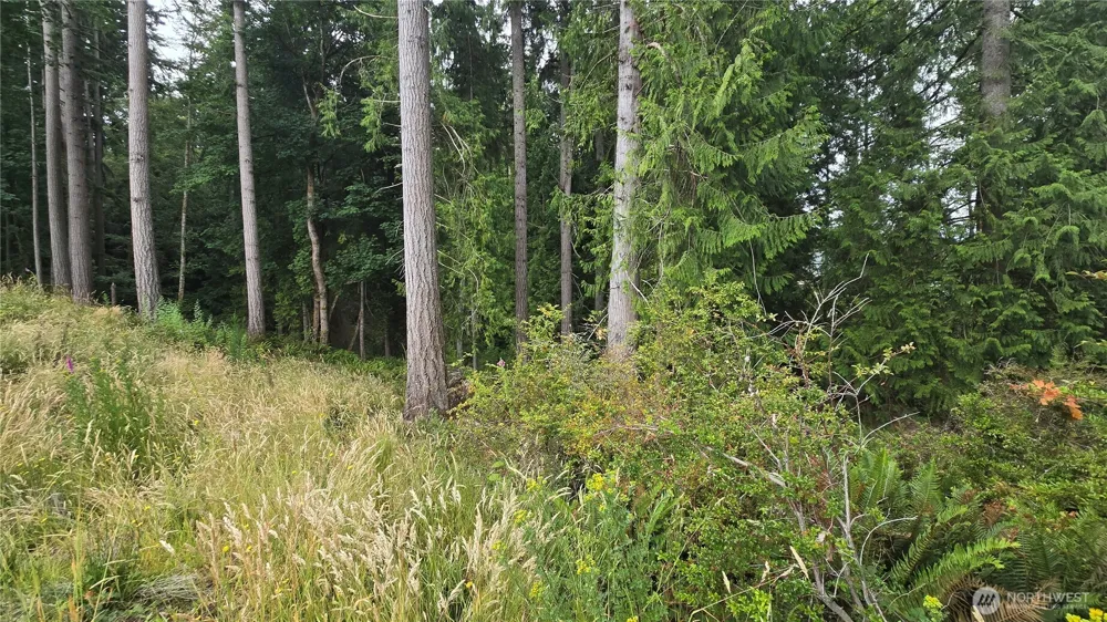 26 xx Oregon (Lot C of Short Plat) Avenue E Port Orchard, WA 98366