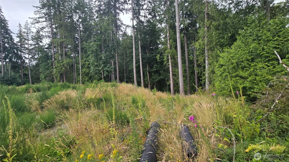 26 xx Oregon (Lot C of Short Plat) Avenue E Port Orchard, WA 98366