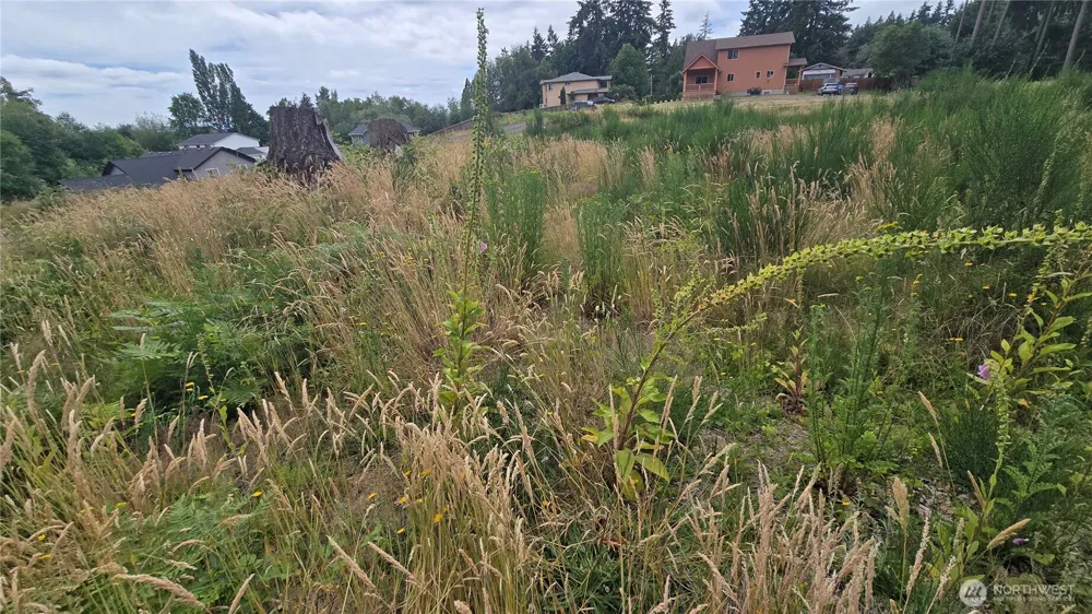26 xx Oregon (Lot C of Short Plat) Avenue E Port Orchard, WA 98366